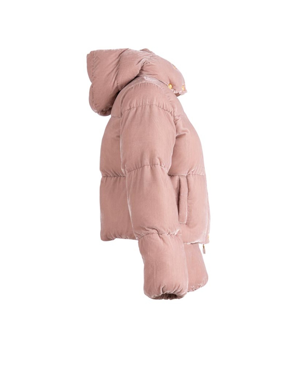 shop ELISABETTA FRANCHI  Piumino: Elisabetta Franchi piumino in velluto con cappuccio.
Piumino cropped in velluto dalla vestibilità regular. 
Collo a cratere con cappuccio amovibile.
Tasche a filetto.
Chiusura con patta abbottonata e zip. 
L'interno in tessuto vela garantisce protezione e comfort. 
Patch con logo.
Composizione: 75%Viscosa 25%Poliammide.
Fabbricato in Italia.. PI82D56E2-EA6 number 4906593